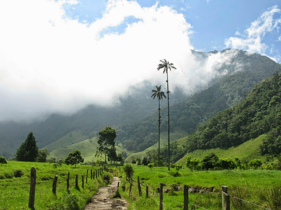 10153018_1463648060533645_14753639_n