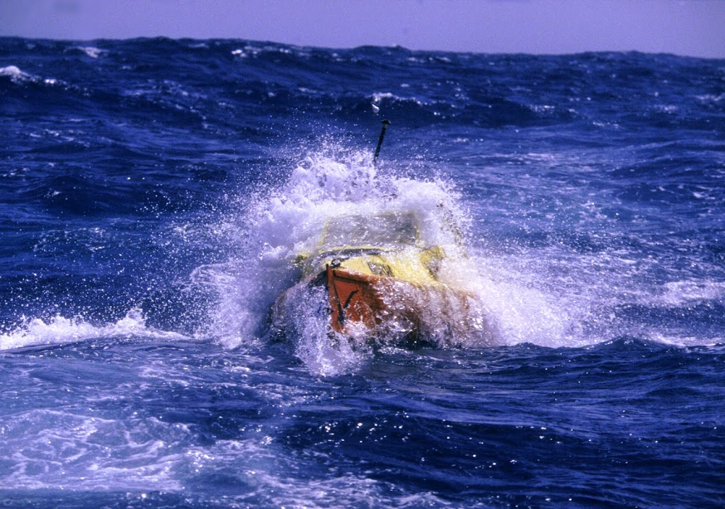 Moksha entre las olas.