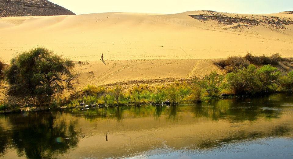 1939529_525064917593740_5562206060664562785_n